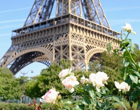 Photo of the Eiffel Tower and flowers