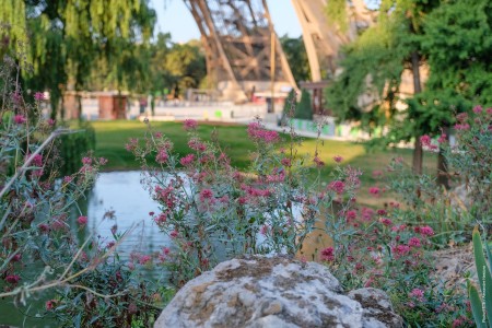 East Garden
