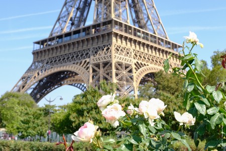 Photo of the Eiffel Tower and flowers