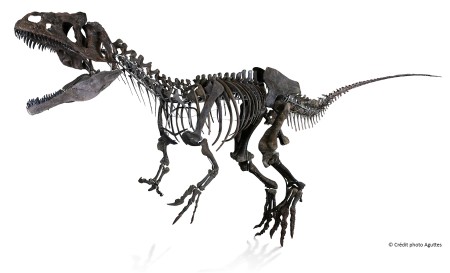 Photo of carnivorous dinosaur skeleton sold at auction by Aguttes on the Eiffel Tower