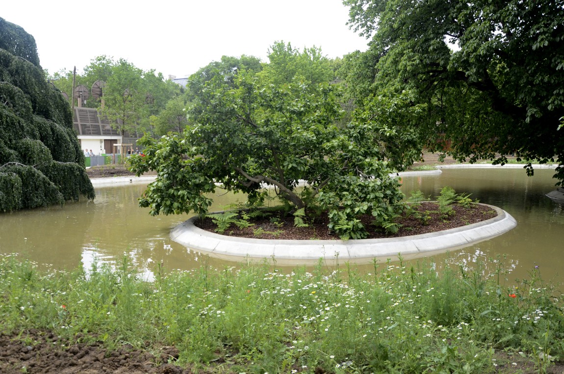 Photo of garden and pond