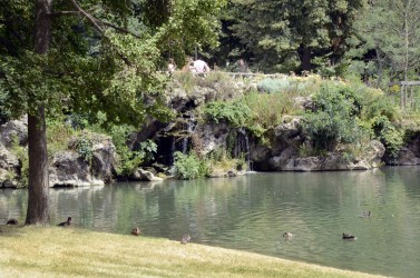 Belvedere